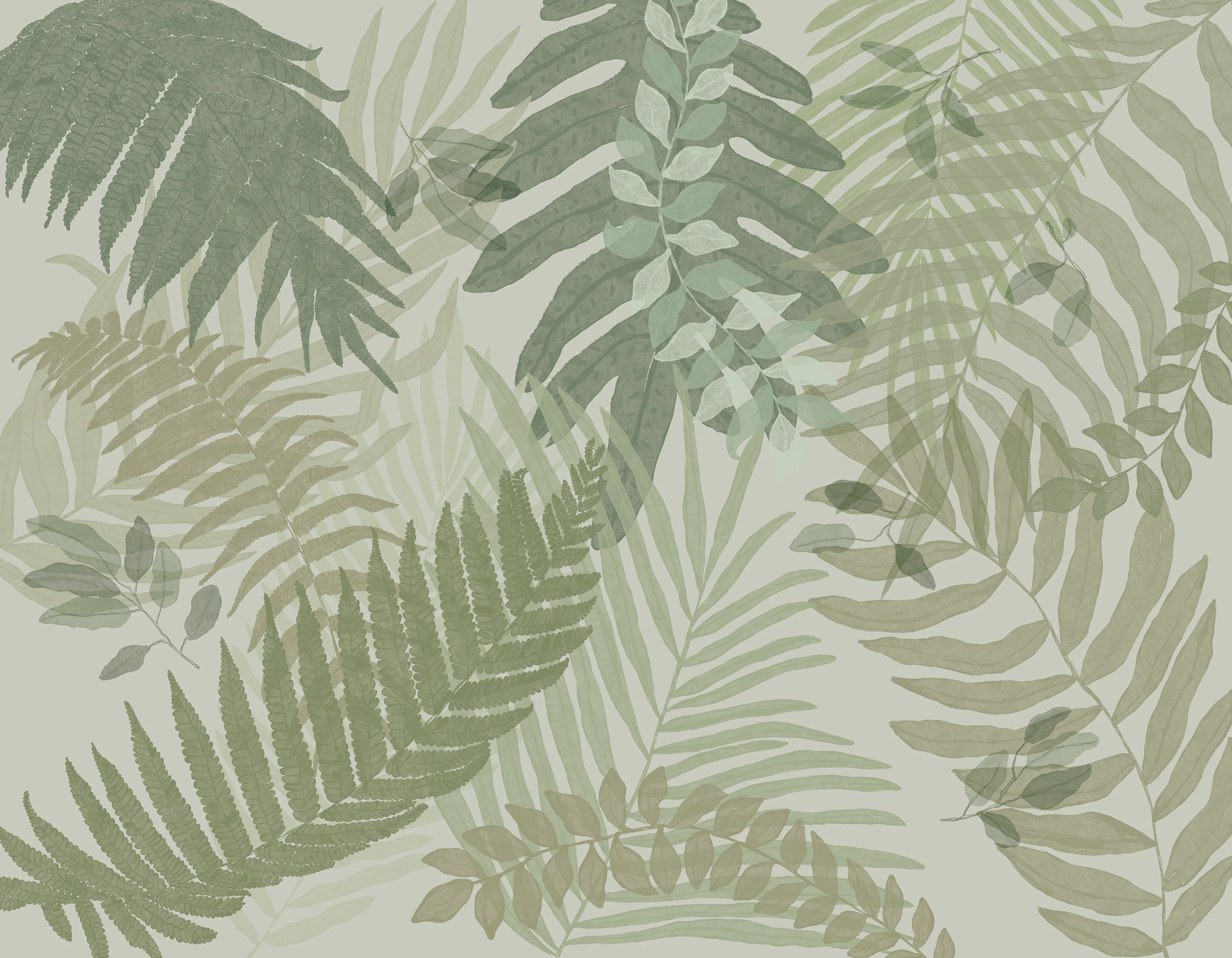 Canopy Wall Mural - Image 8